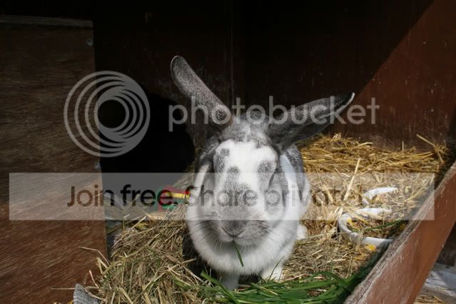 IMG_1835.jpg