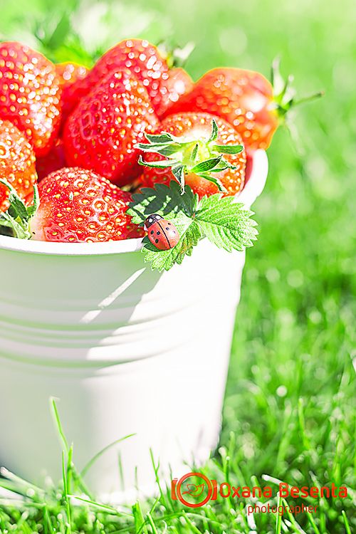 photo food123_a_zpsf0fad9e6.jpg