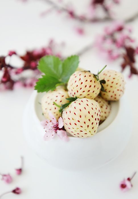 photo food56_zpsa8e706ff.jpg