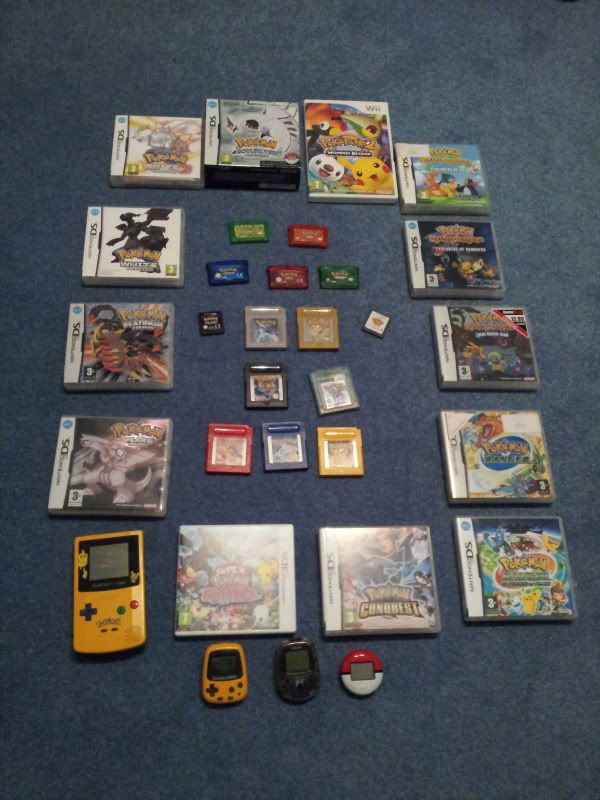 Which Pokemon games do you own and which have you lost?