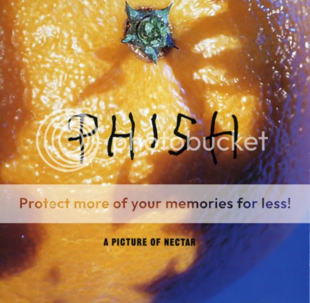 A Picture of Nectar Album Art